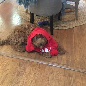 Meet your Posher, Jakson